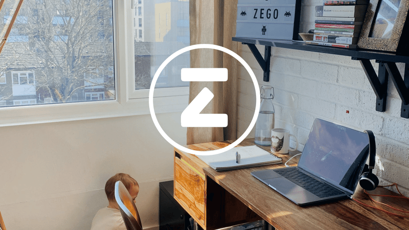 Zego panel 2-min
